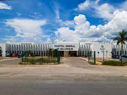 Los problemas de accesibilidad de la población mayor a la asistencia sanitaria. El caso de Castilla y León (España)